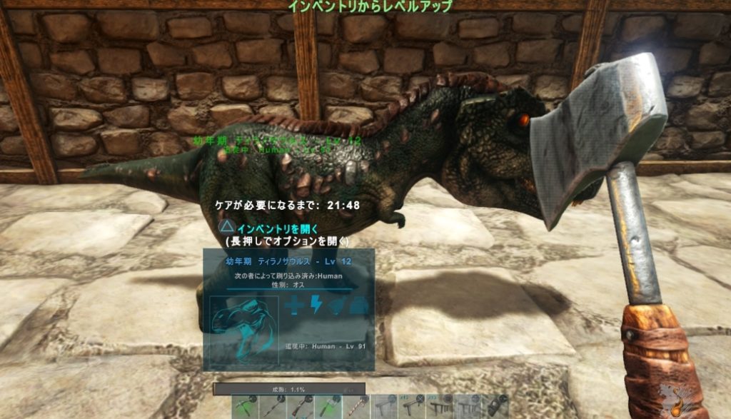 ark
