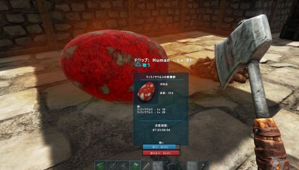 ark